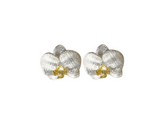 Phalaenopsis Orchid Stud Earrings