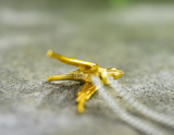 Swallow Pendant and Necklace