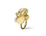 Phalaenopsis Orchid Ring
