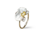 Phalaenopsis Orchid Ring