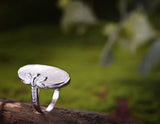 Oval Shell Dragonfly Ring - Lotus Fun