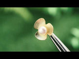 Pearl Clover Earring