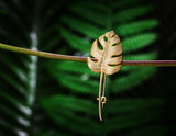 Monstera Leaf Brooch