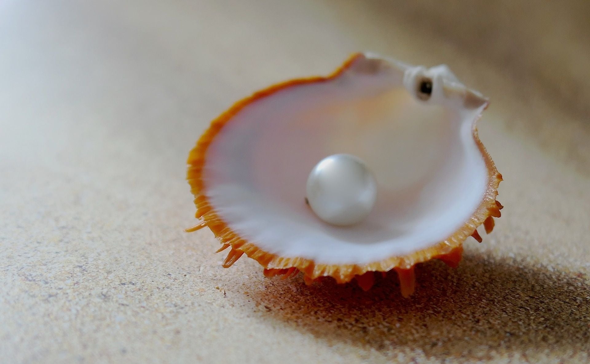 What is a Pearl, its Symbolism and Meaning? - Lotus Fun
