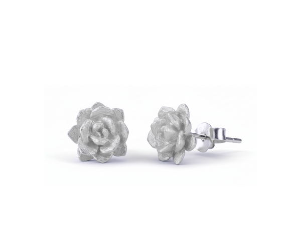Succulent Plant Stud Earrings