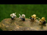 Dripping Honey & Bee Earring