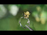 Dripping Honey & Bee Ring II